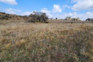 Geluk Dam meant to offer water security but now an expensive mess