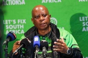 Herman Mashaba on illegal immigrants