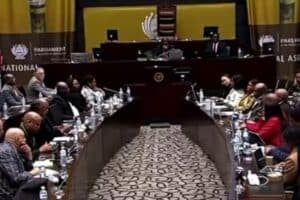 Impeachment Committee moves on evidence leader as Didiza faces fire over Ramaphosa court bid