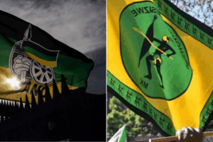 'Delusional': MK party, analysts say ANC can't win majority in KZN