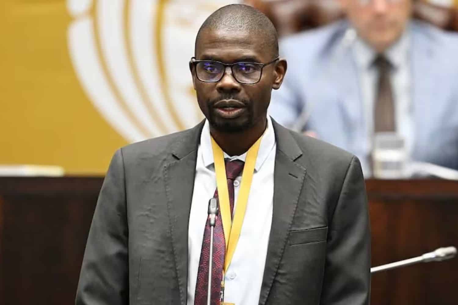 Impeachment: Gana warns Ramaphosa can’t escape constitutional accountability [VIDEO]