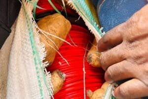 Explosive cables seized at Beitbridge border, foreign national arrested