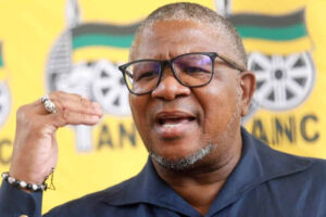 Fikile Mbalula defends Bafana Bafana critics slam immigration protests.