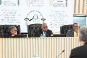 Medicare24 CEO Mike van Wyk Madlanga commission