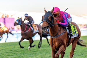 Hollywood Bets Durban July
