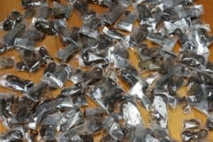 Airport sting: Man nabbed with 150 venomous scorpions hidden in Luggage