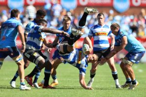 Stormers lock Adré Smith has joined the Springbok squad