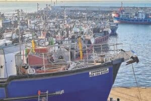 Thyspunt ‘will be environmental, economic disaster’ for Chokka industry