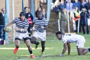Wynberg v SACS