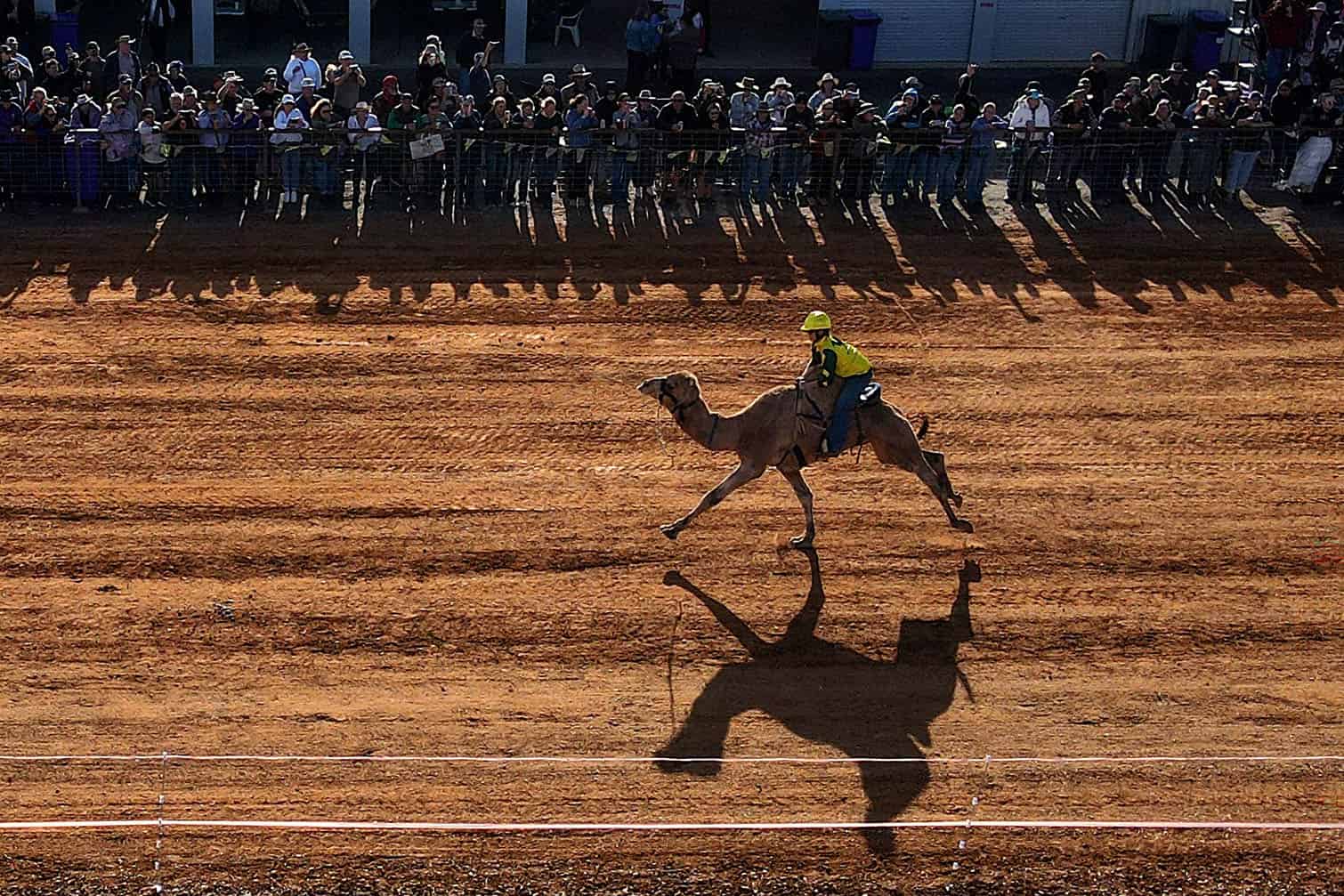 A camel racer competes during the Marree Australasian Camel Cup