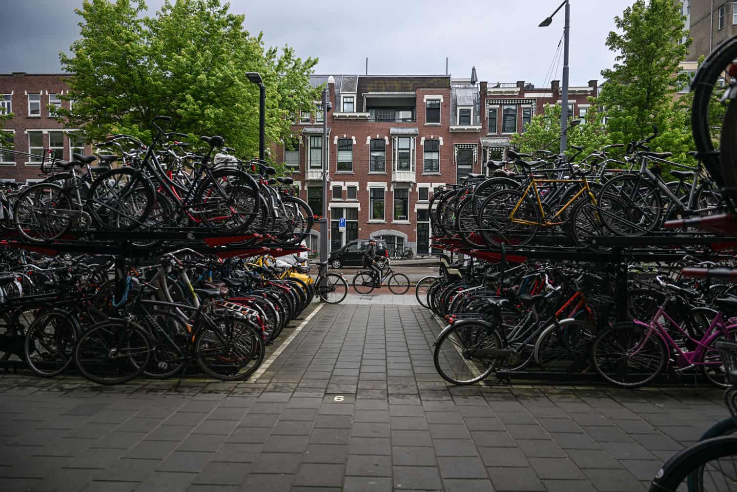 World Bicycle Day marked across the Netherlands