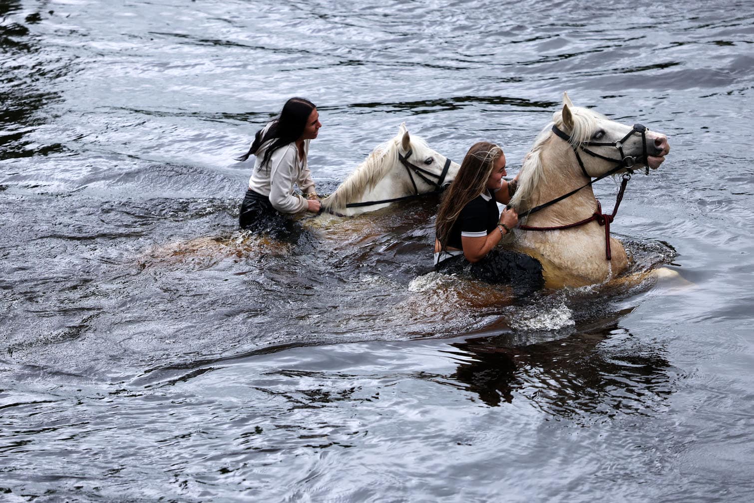 Horses are washed in the River Eden