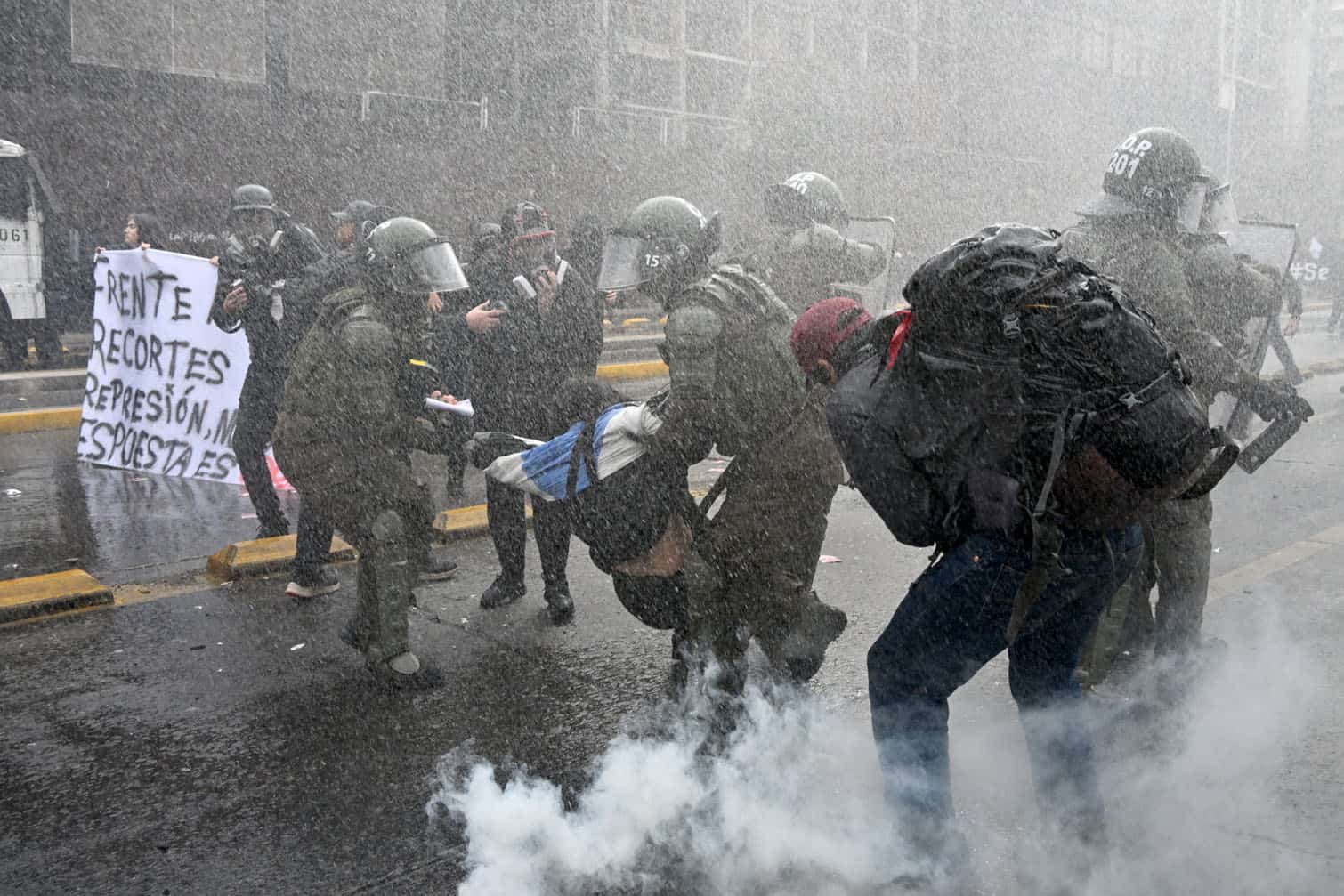 Riot police arrest a demonstator