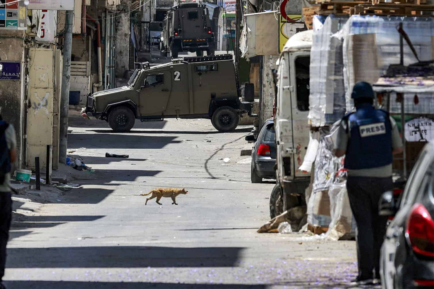 A journalist watches as a cat crosses an alley