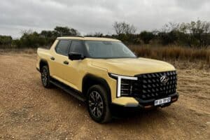 LDV Terron