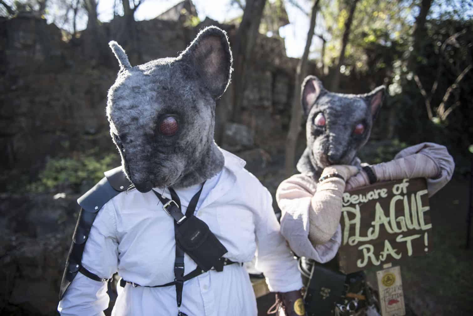 Medieval Fayre 2026