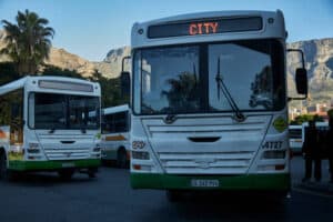 buses, department of transport, grant cuts, minister of transport