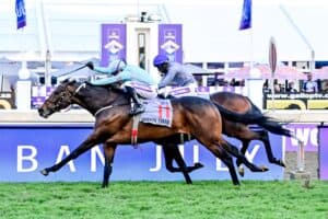 Durban July