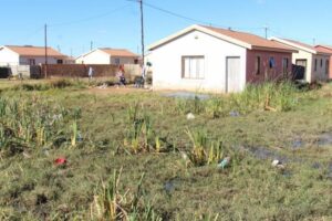 So much sewage has leaked over the years that a small marshland has formed between the houses.