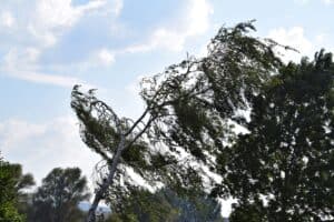 weather-forecast-21-june-2026