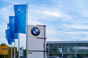 BMW security guard