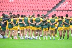 Springbok rugby players