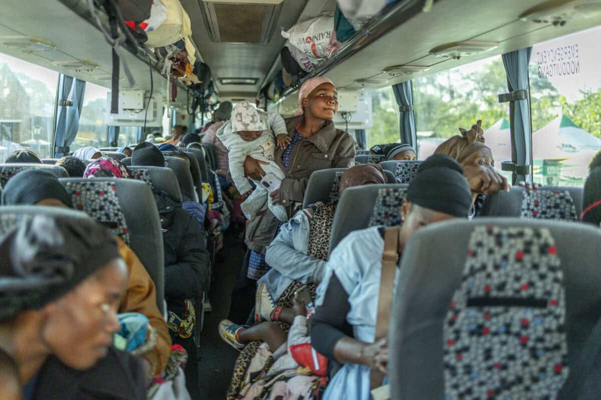 Call to put brakes on permitless bus operators