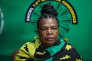 Dina-Pule-ANC-DA-Social Development