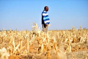 South Africa is better placed for looming El Niño, experts say