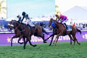 King Pelles Gold Cup