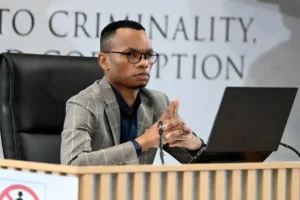 Gareth-Mnisi-Tshwane-Madlanga-DA