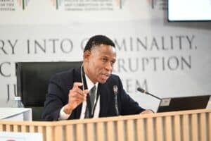 Andrea Johnson Idac Madlanga inquiry