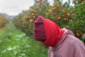 South Africa's migrant exodus leaves employers short-handed