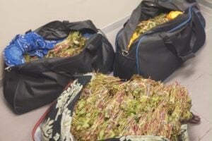 Suspect arrested at Cape Town Airport for alleged drug trafficking
