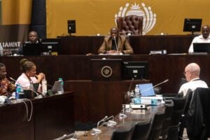 Ad hoc committee draft report: EFF MP shares concerns about 'watered down' findings