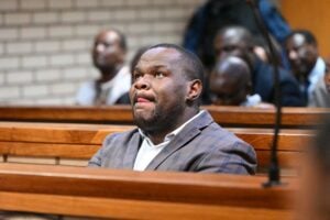 Fannie Nkosi Madlanga inquiry