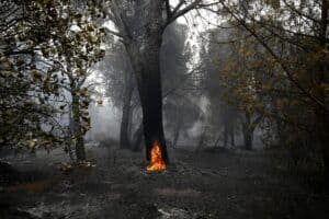 Spain races to contain blazes before temperatures rise