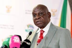 Raulinga stands firm as MK party fights IDAC ombud appointment