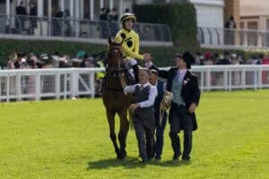 Jockey Zac Lloyd