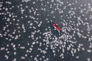 Aerial Photo Awards 2026 winners