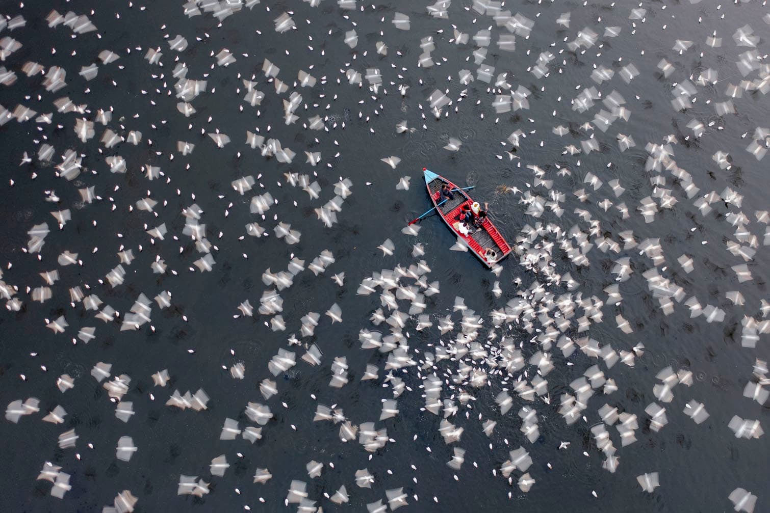 PICTURES: The world's best aerial photographs revealed