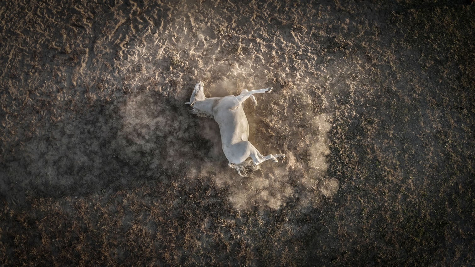 Aerial Photo Awards 2026 winners