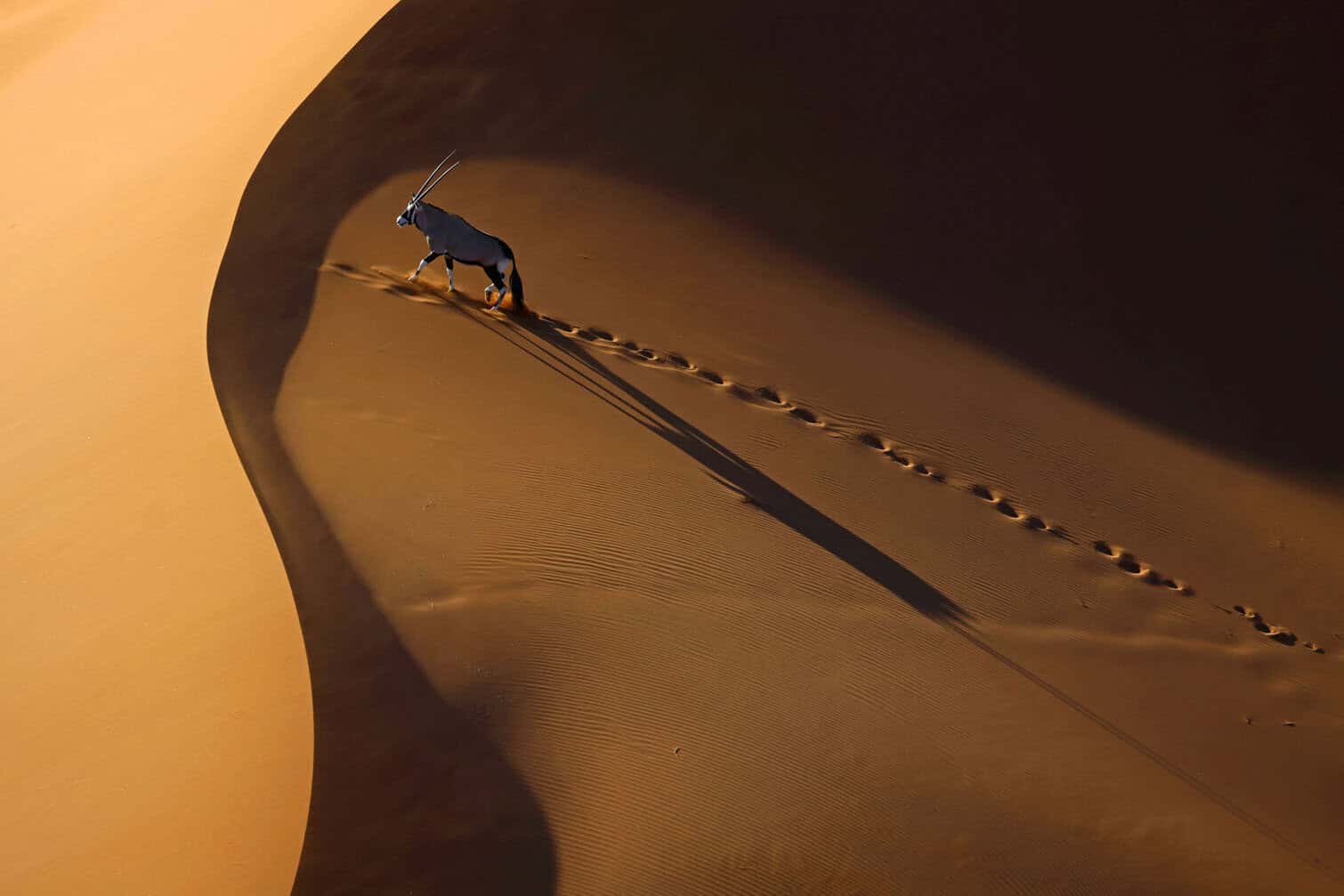 Aerial Photo Awards 2026 winners