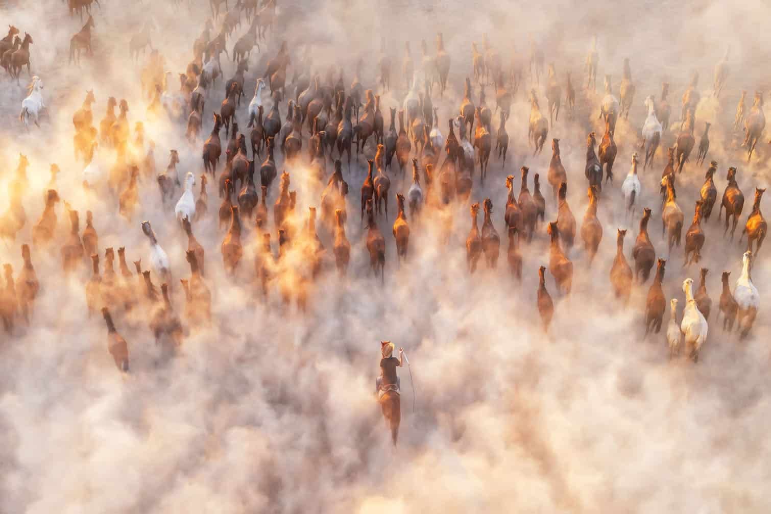 Aerial Photo Awards 2026 winners