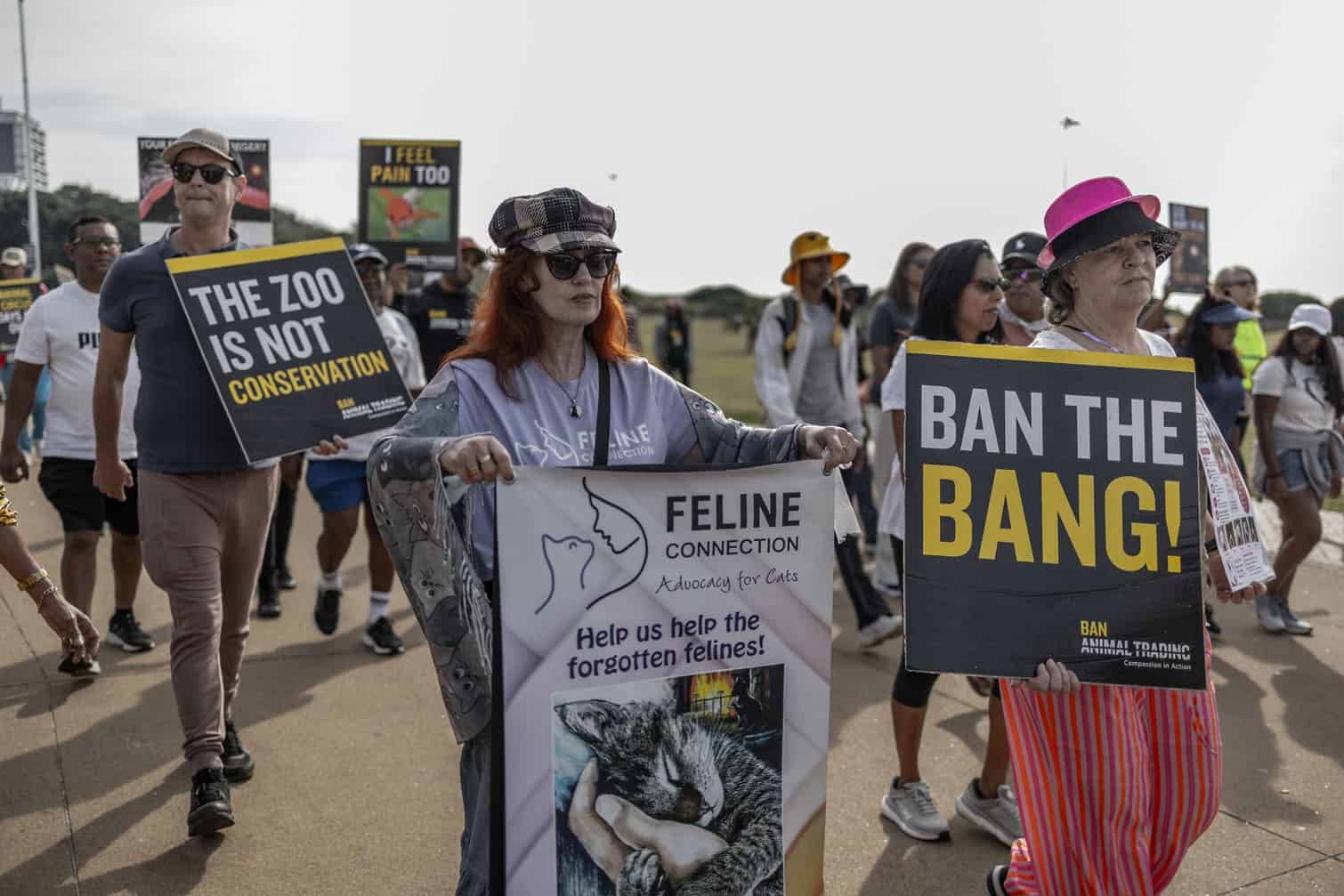 Animal Rights activists from various animal welfare organisations