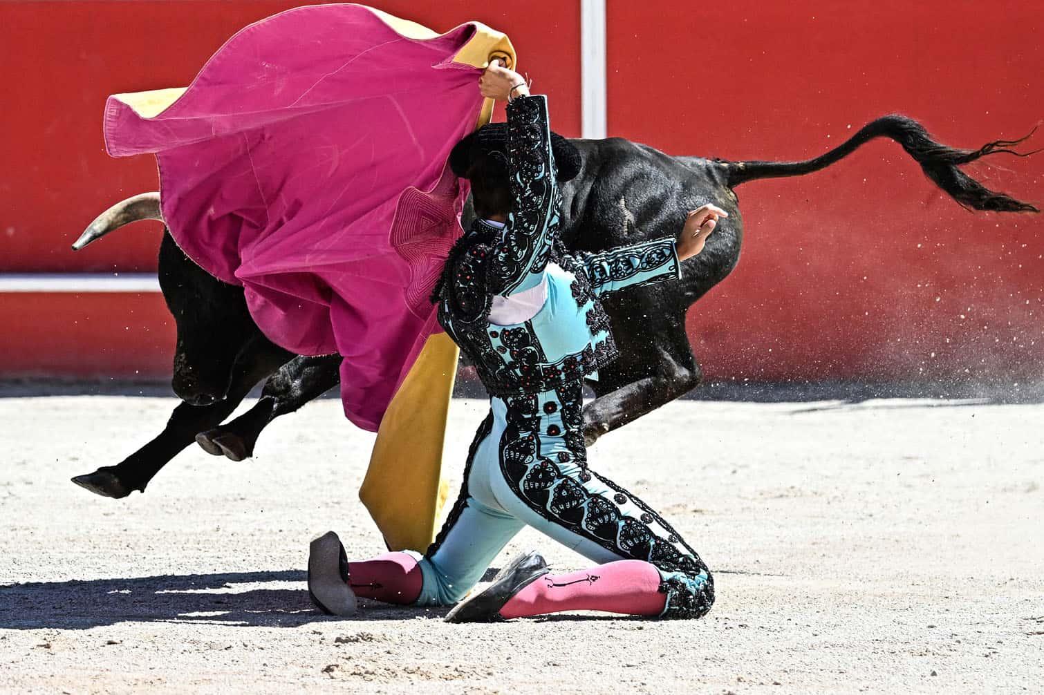 French novillero (novice bullfighter) Esteban Navarro
