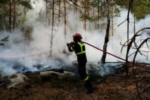 A firefighter operates during a fire in the Fontainebleau Forest