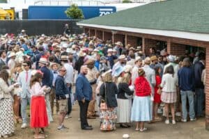 Horse racing punters