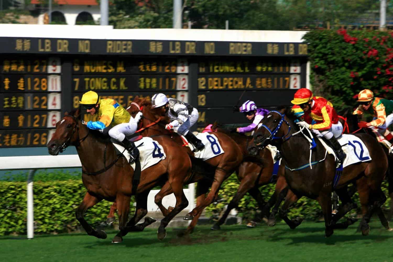 Last chance at Happy Valley this week