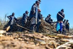 Upper Tongaat farm workers being visited by government officials during a farm raid, championed by the Ndwedwe mayor last May.